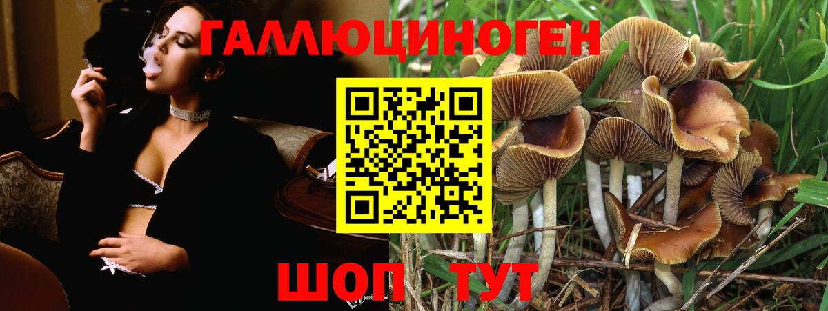 Псилоцибиновые грибы GOLDEN TEACHER  Вход с VPN  Узловая  Галлюциногенные грибы Cubensis 